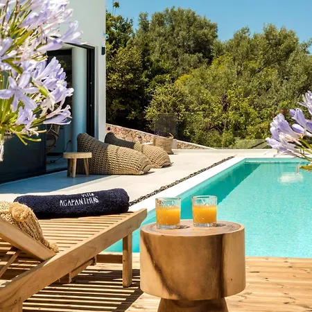 Agapanthus Villa Nikiana